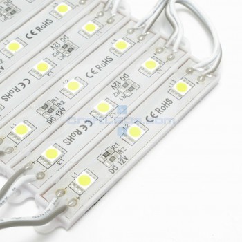 5050 White LEDs Modules (wired in parallel)